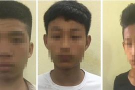 2 thiếu niên theo băng cướp giật tài sản