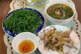 Mùa nước lụt bắt cá ngạnh ở miền Trung quê tôi
