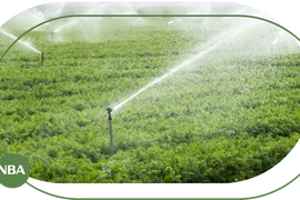 Béc tưới cây tự động chuyên nghiệp - Đưa hiện đại hóa vào nhà vườn nâng cao năng suất