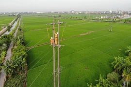 EVNNPC đẩy nhanh dự án 110kv cung ứng điện mùa nắng nóng