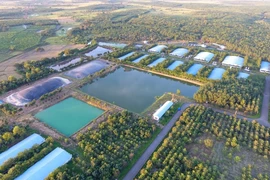 C.P. Việt Nam cam kết bền vững hướng đến mục tiêu Net Zero