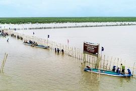 Vinamilk được vinh danh giải thưởng quốc tế về 'Green Leadership' Châu Á