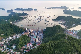 Cát Bà phát triển du lịch sinh thái bền vững, hút khách chi tiêu cao