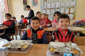 Đề xuất xây dựng một bộ luật riêng mang tên Luật Dinh dưỡng học đường
