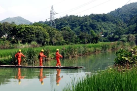 EVNNPC: Vươn xa ‘Dòng điện anh hùng’