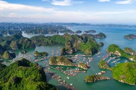 Chuyên gia quốc tế ‘mách nước’ 8 bí quyết đưa Cát Bà thành đảo sinh thái xanh toàn diện