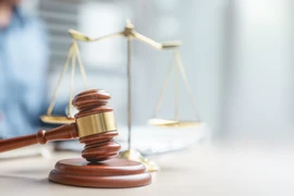 Vụ tranh chấp hợp đồng bảo hiểm tại Thanh Hóa: Tòa phúc thẩm tuyên y án