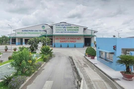 Chủ tịch VWS David Dương: Tầm nhìn xanh và lời chúc Xuân ‘Mã đáo thành công’