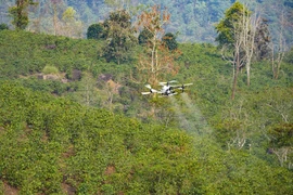 FPT thử nghiệm UAV tại Điện Biên, mở hướng ứng dụng công nghệ chiến lược trong nông nghiệp vùng cao