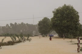 Vùng trũng Thừa Thiên-Huế lại bì bõm trong nước lũ