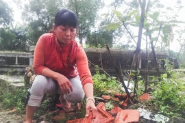 Nhà dân liên tục tốc mái vì máy bay cất hạ cánh 