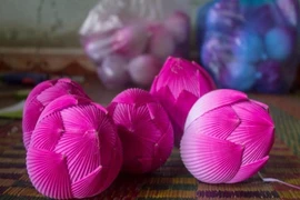 Làng hoa giấy 300 tuổi xứ Huế hối hả vào vụ Tết
