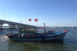 Phạt 2 tàu giã cào khai thác ở vùng biển Chân Mây-Lăng Cô