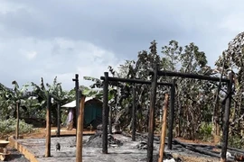 Tivi phát nổ thiêu rụi ngôi nhà vợ chồng nghèo