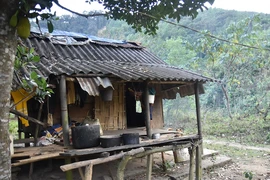 Ảnh minh họa.