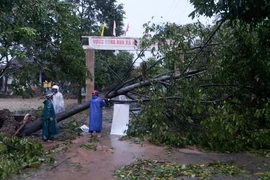 Hàng loạt ngôi nhà huyện miền núi Thừa Thiên-Huế tốc mái