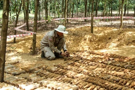 Phát hiện hầm đạn cối gần 500 quả tại Quảng Trị