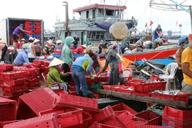 Thừa Thiên - Huế lên phương án dời dân tránh bão số 5 đảm bảo phòng dịch