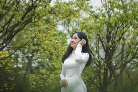 Huế khao khát trở thành Xứ sở mai vàng của Việt Nam