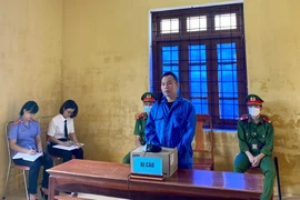 Rủ nhau đục tường trốn trại, 2 người lãnh án