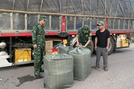 Phát hiện nhiều tấn nội tạng động vật bốc mùi