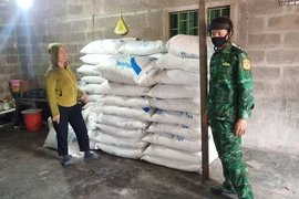 Biên phòng Quảng Trị bắt 3 vụ vận chuyển, tàng trữ đường lậu