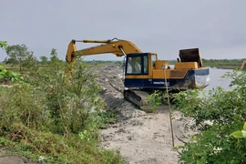 Vụ rừng ngập mặn bị san ủi: Phạt tiền và trồng lại rừng