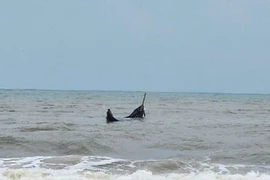 1 giờ vật lộn với sóng dữ, cứu 3 ngư dân chìm thuyền ở Quảng Trị