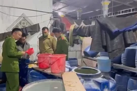 1 cơ sở sản xuất giá đỗ dùng chất kích thích tăng trưởng 