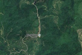 Đi đến nhà bạn theo Google maps, nữ sinh bị lạc vào sâu trong rừng