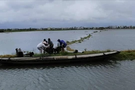 Thủy điện Hương Điền xả nước, sông Bồ dự kiến lên báo động 2