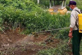 Huế: Kiểm tra đột xuất lò mổ, phát hiện 2 con lợn nhiều chấm đỏ nghi bệnh