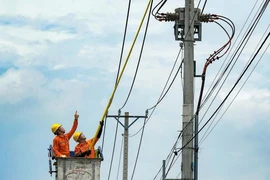 Nhiếp ảnh gia Võ Văn Hoàng đạt 15 giải tại cuộc thi ảnh về nông thôn mới tại TP.HCM
