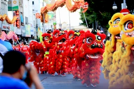 Nghệ thuật Lân Sư Rồng TP.HCM: Nét độc đáo của di sản văn hóa quốc gia 