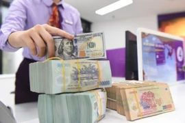 Năm 2024: Tăng trưởng của Việt Nam ở mức 6%, tỉ giá sẽ ổn định