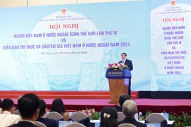 Nhiều người Việt Nam ở nước ngoài muốn trở lại quốc tịch Việt Nam nhưng vẫn giữ quốc tịch đang có
