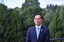79 năm trưởng thành và phát triển của ngành ngoại giao Việt Nam 