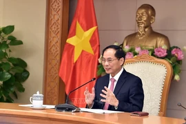 Đề nghị Nhật Bản tiến tới miễn thủ tục nhập cảnh cho công dân Việt Nam