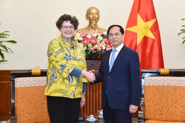 Phó Thủ tướng, Bộ trưởng Ngoại giao Bùi Thanh Sơn tiếp Đại sứ CHLB Đức
