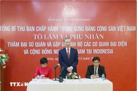 Tổng Bí thư gặp mặt cán bộ cơ quan đại diện và cộng đồng người Việt ở Indonesia