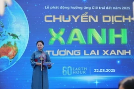 Hà Nội hưởng ứng chương trình 'Giờ trái đất 2025'
