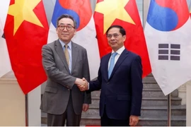 Phó Thủ tướng, Bộ trưởng Ngoại giao Bùi Thanh Sơn hội đàm với Bộ trưởng Ngoại giao Hàn Quốc