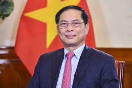 Ngoại giao Việt Nam đóng góp vào giải phóng miền Nam, thống nhất đất nước 
