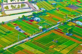 Người dân đến check-in tại làng hoa lớn nhất Bình Dương