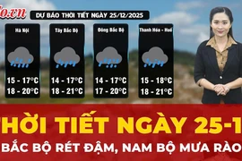 Dự báo thời tiết 25-12: Bắc Bộ rét đậm, Nam Bộ mưa rào