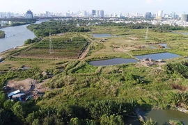 Chánh văn phòng Thành ủy TP.HCM bị kỷ luật khiển trách