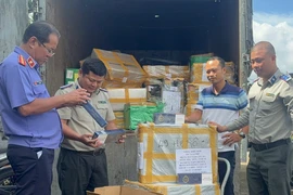 Thi hành án dân sự TP.HCM tiêu hủy vật chứng trong hai vụ án hình sự