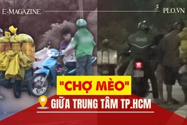 Pháp lý nhìn từ đường dây 'mèo tặc' tại TP.HCM 