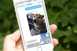 Sửa lỗi không thể gửi và nhận tin nhắn trên iPhone