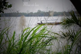 Hai điểm du lịch gần thành phố bạn không nên bỏ qua